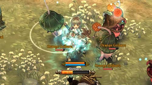 Tree of Savior Monk PvP Build